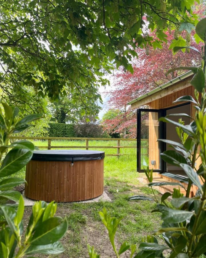 The Weeping Willow Bury St. Edmunds Luaran gambar